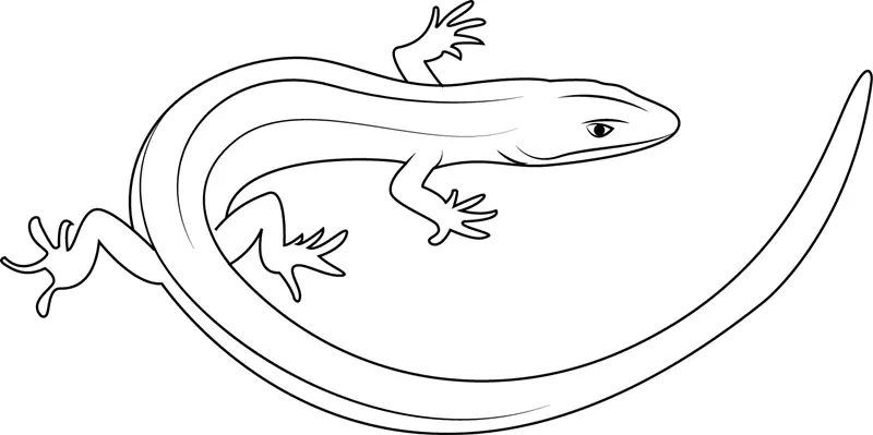 Alligators Coloring Pages 10
