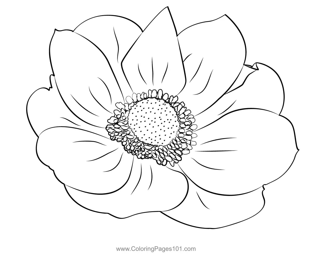 Anemone Coloring Pages 1