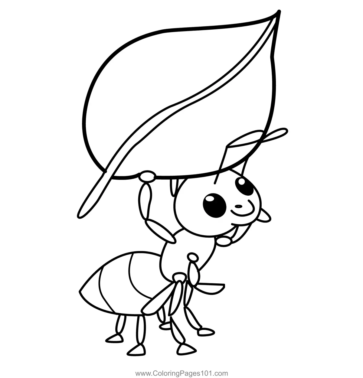 Ants Coloring Pages 3