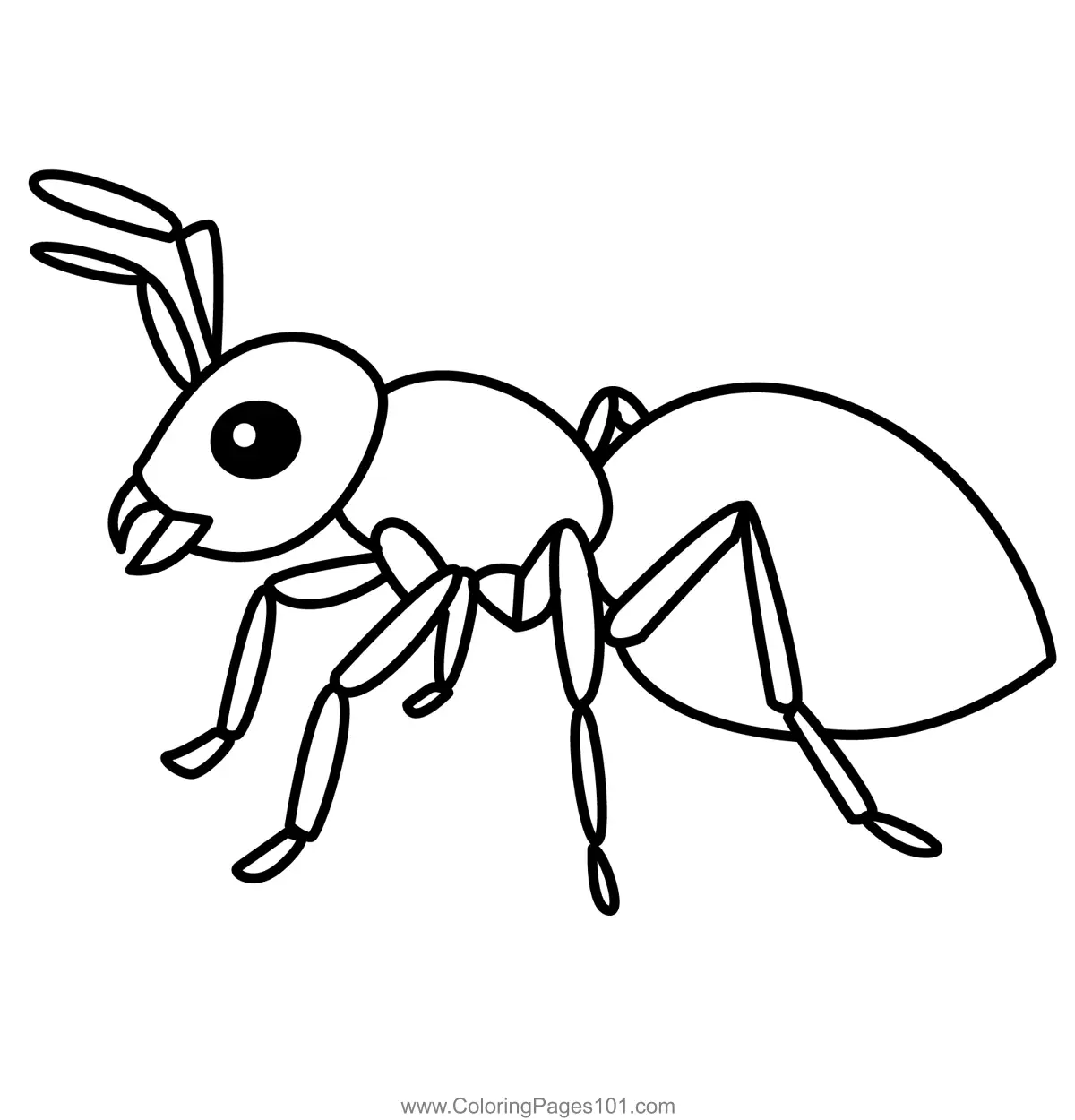 Ants Coloring Pages