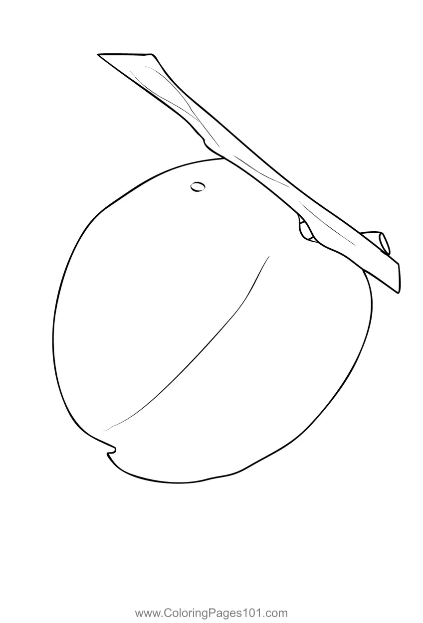 Apricot Coloring Pages 3
