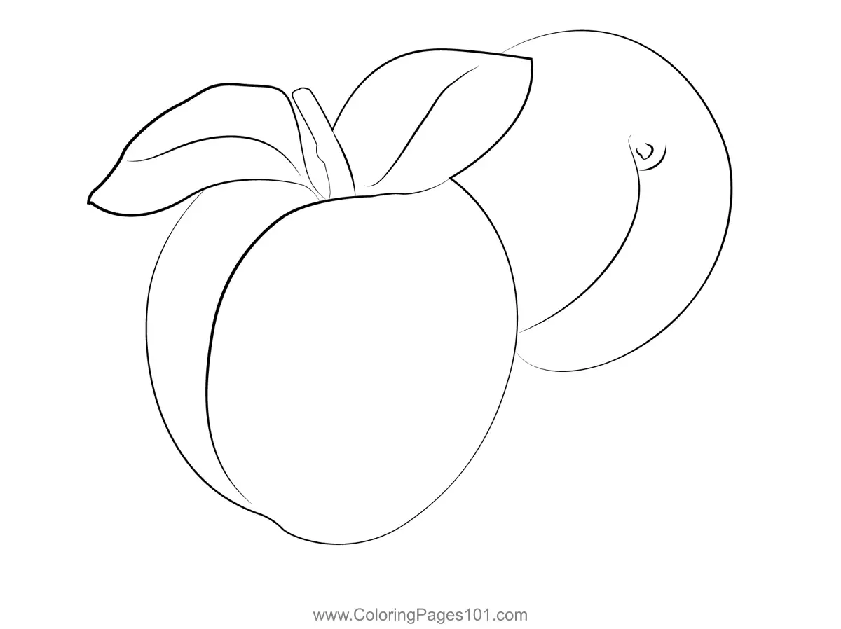 Apricot Coloring Pages 4