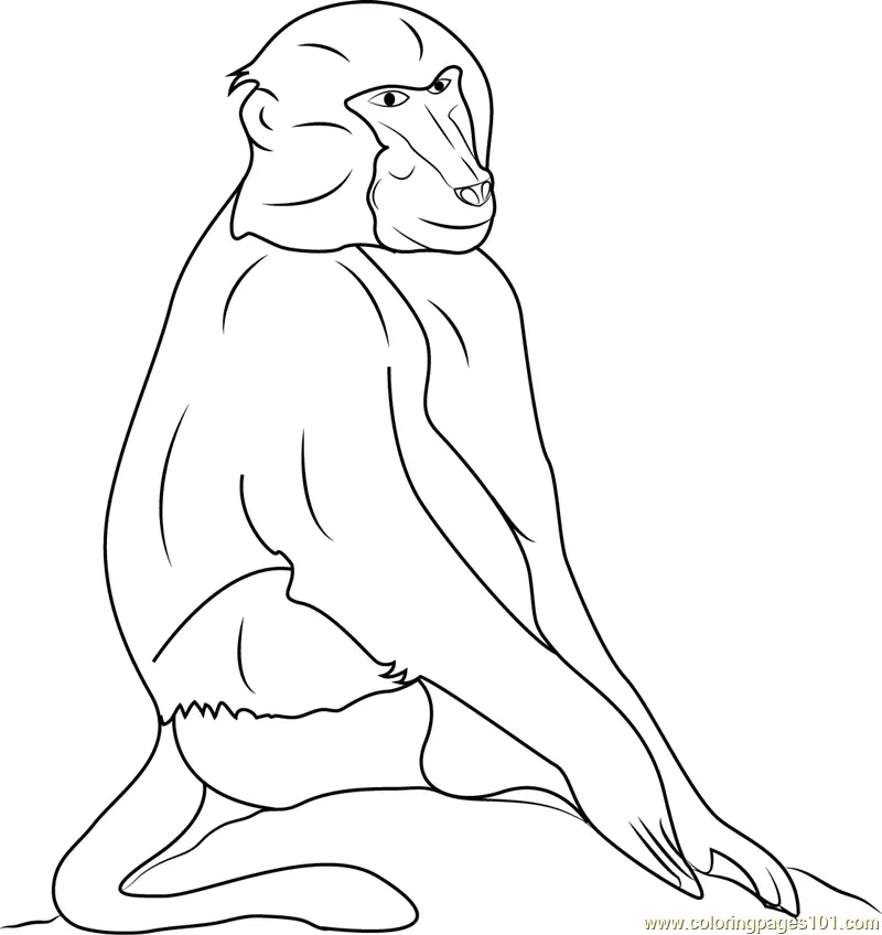 Baboon Coloring Pages 10