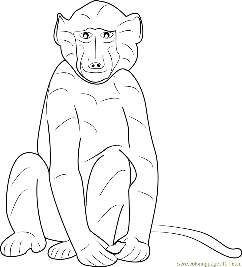 Baboon Coloring Pages 8