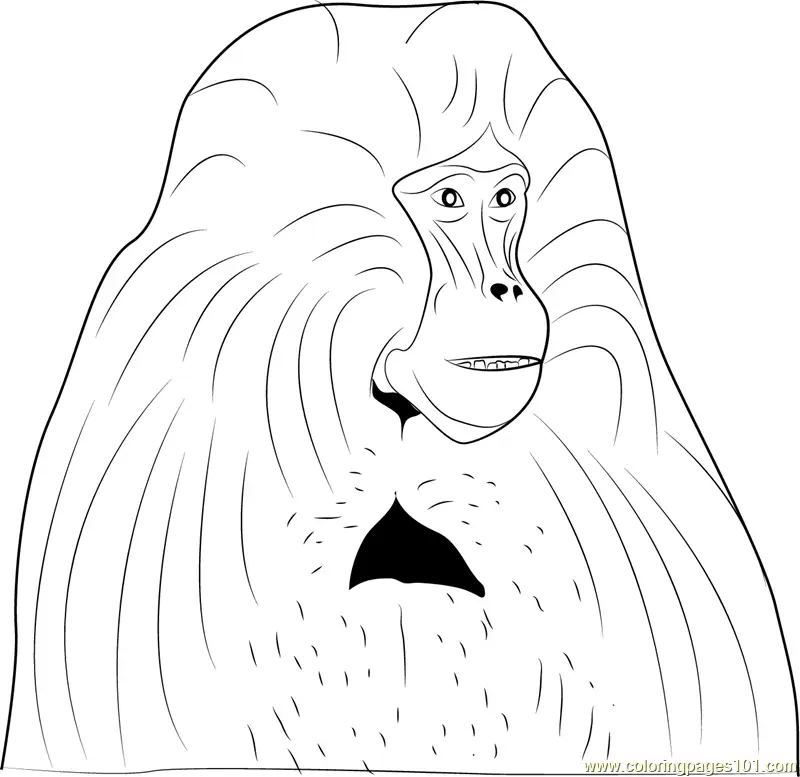 Baboon Coloring Pages 9