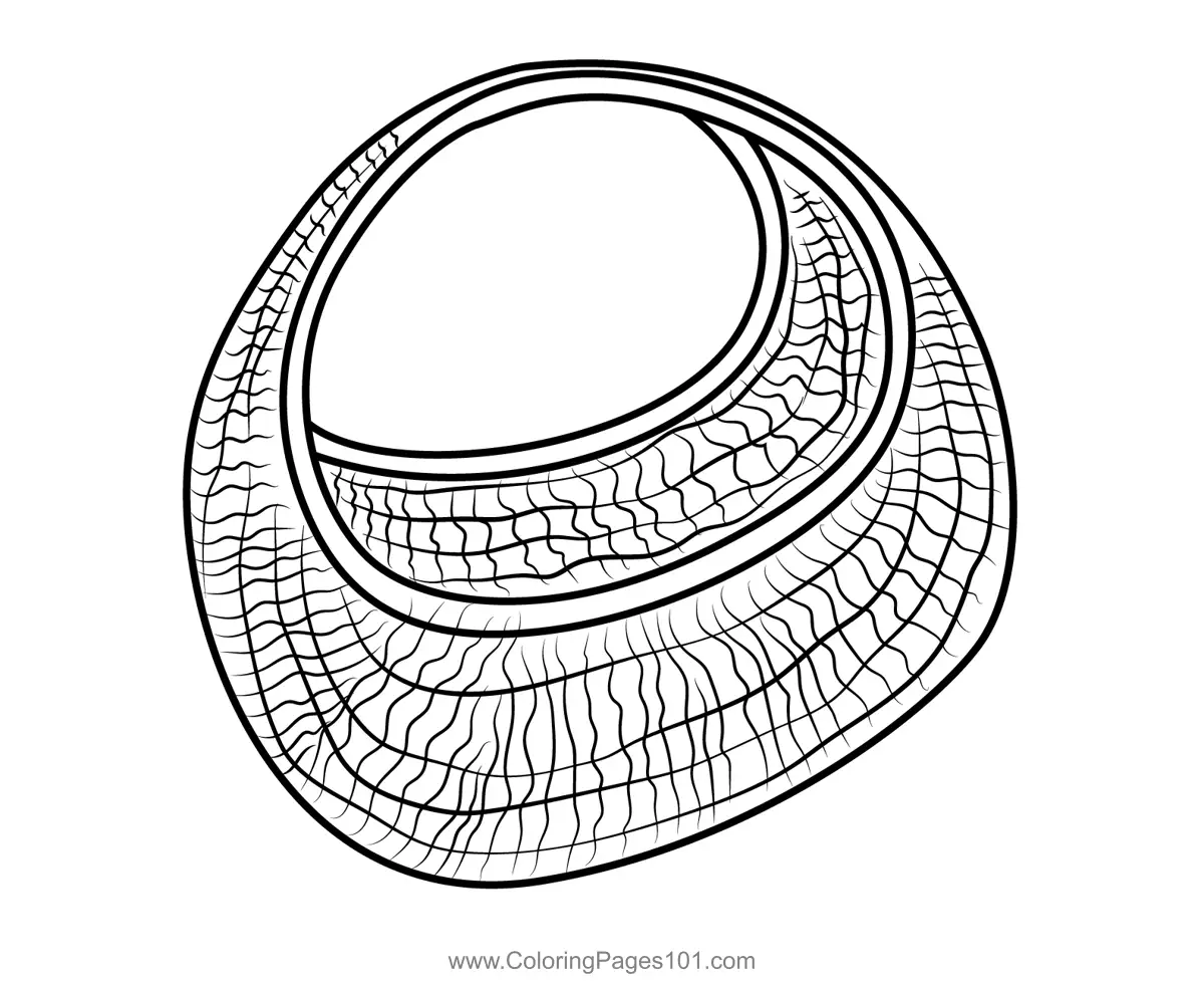 Bags Coloring Pages 5