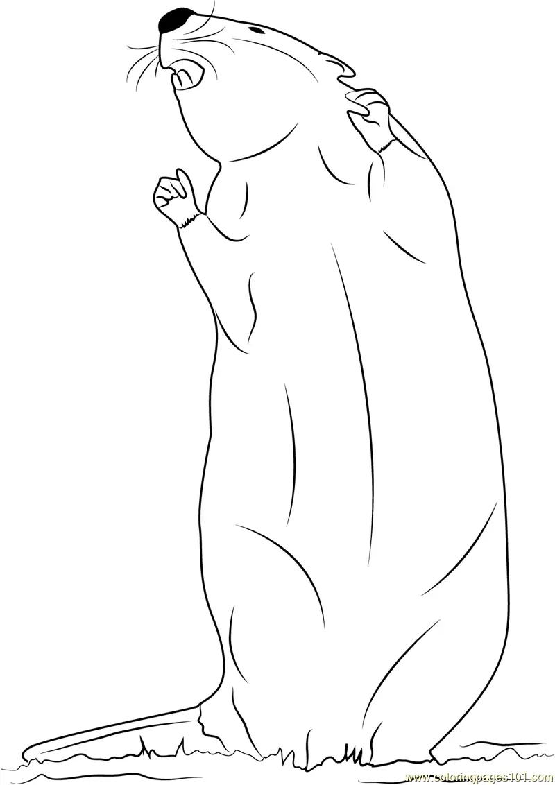 Beaver Coloring Pages 1