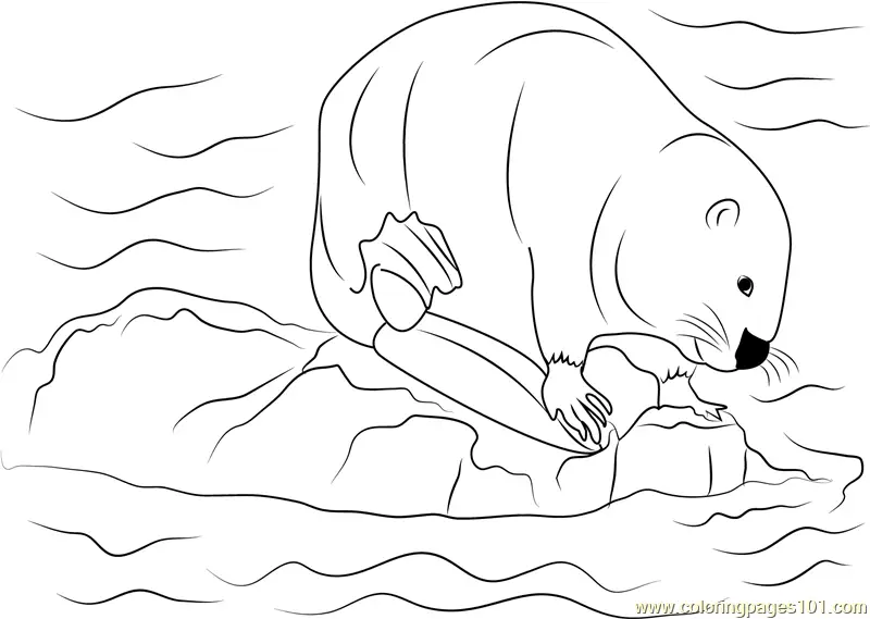 Beaver Coloring Pages 11