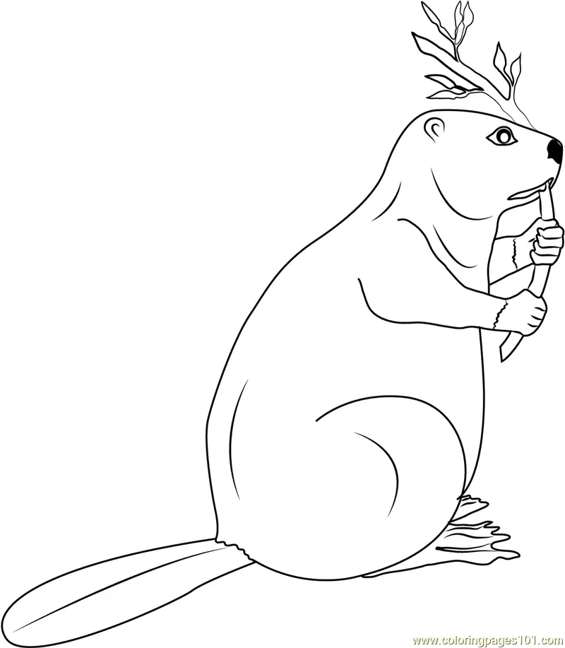 Beaver Coloring Pages