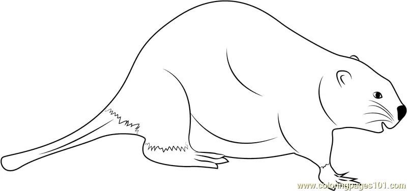 Beaver Coloring Pages 2