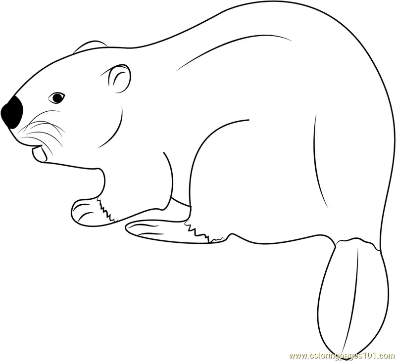 Beaver Coloring Pages 8