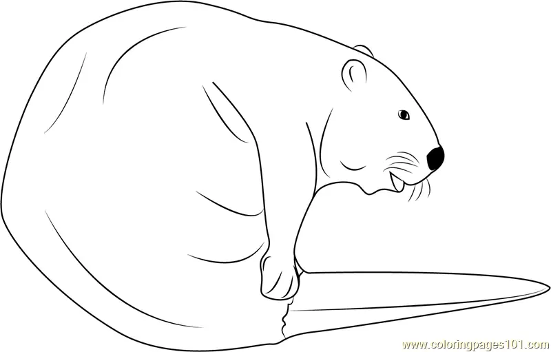 Beaver Coloring Pages 9