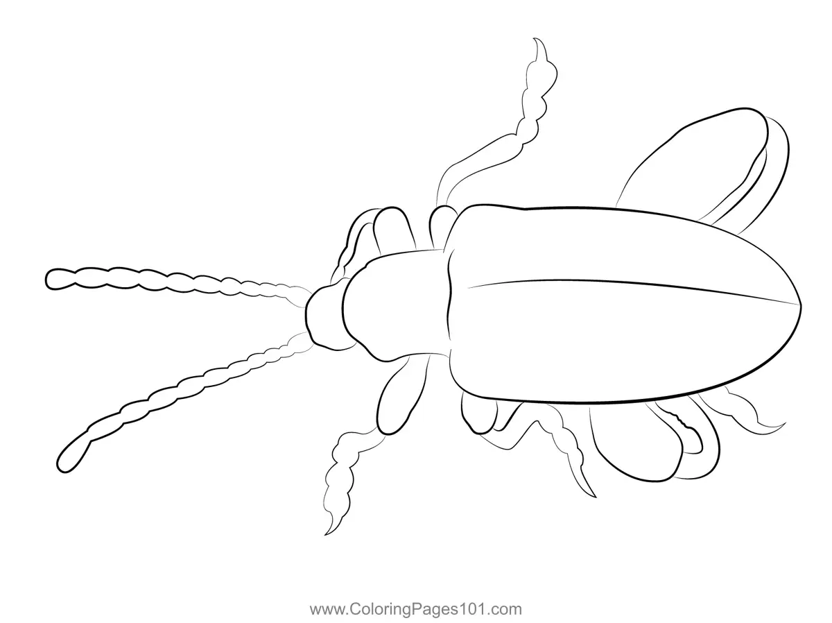 Beetles Coloring Pages 11