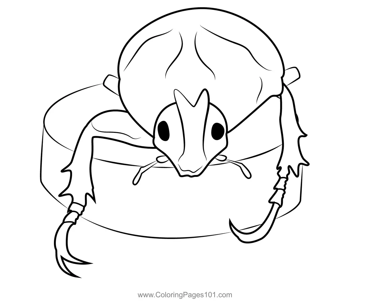 Beetles Coloring Pages