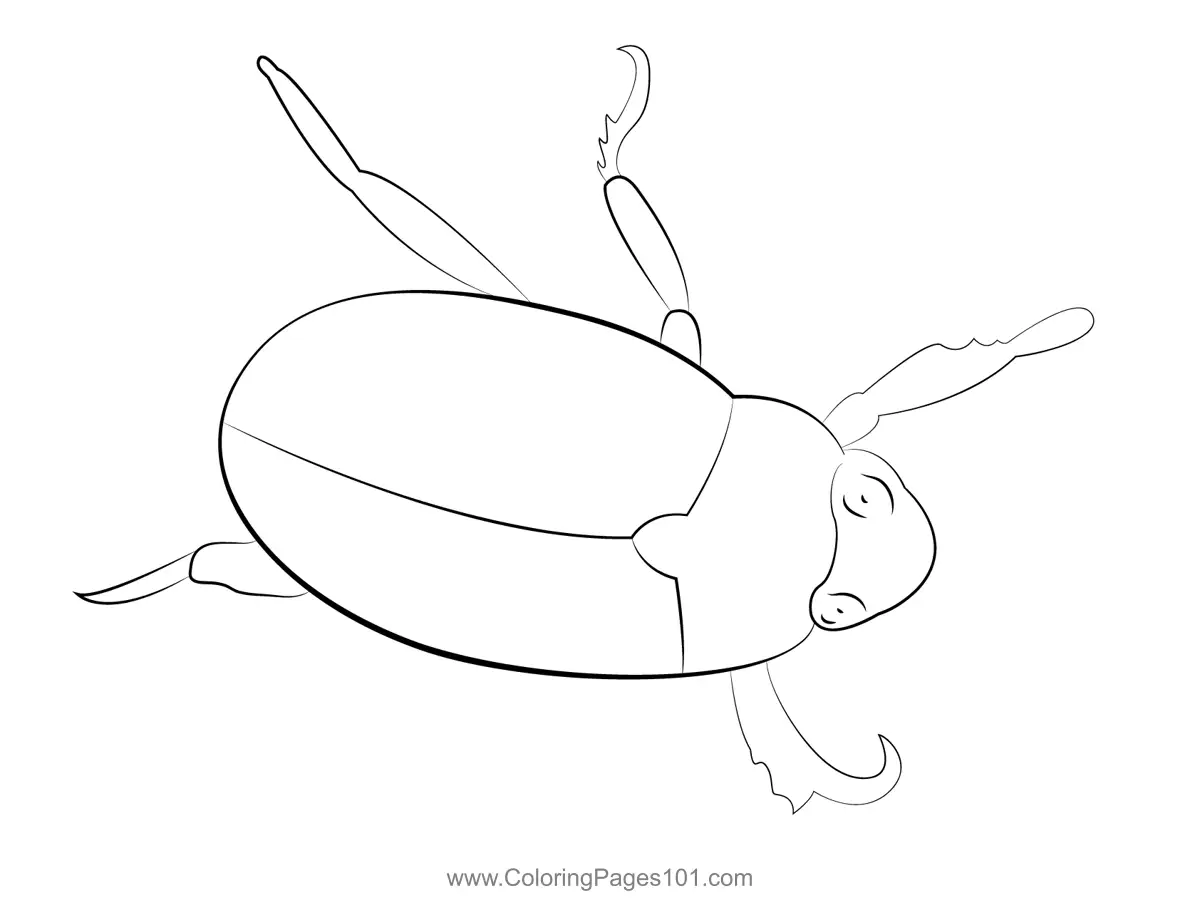 Beetles Coloring Pages 2