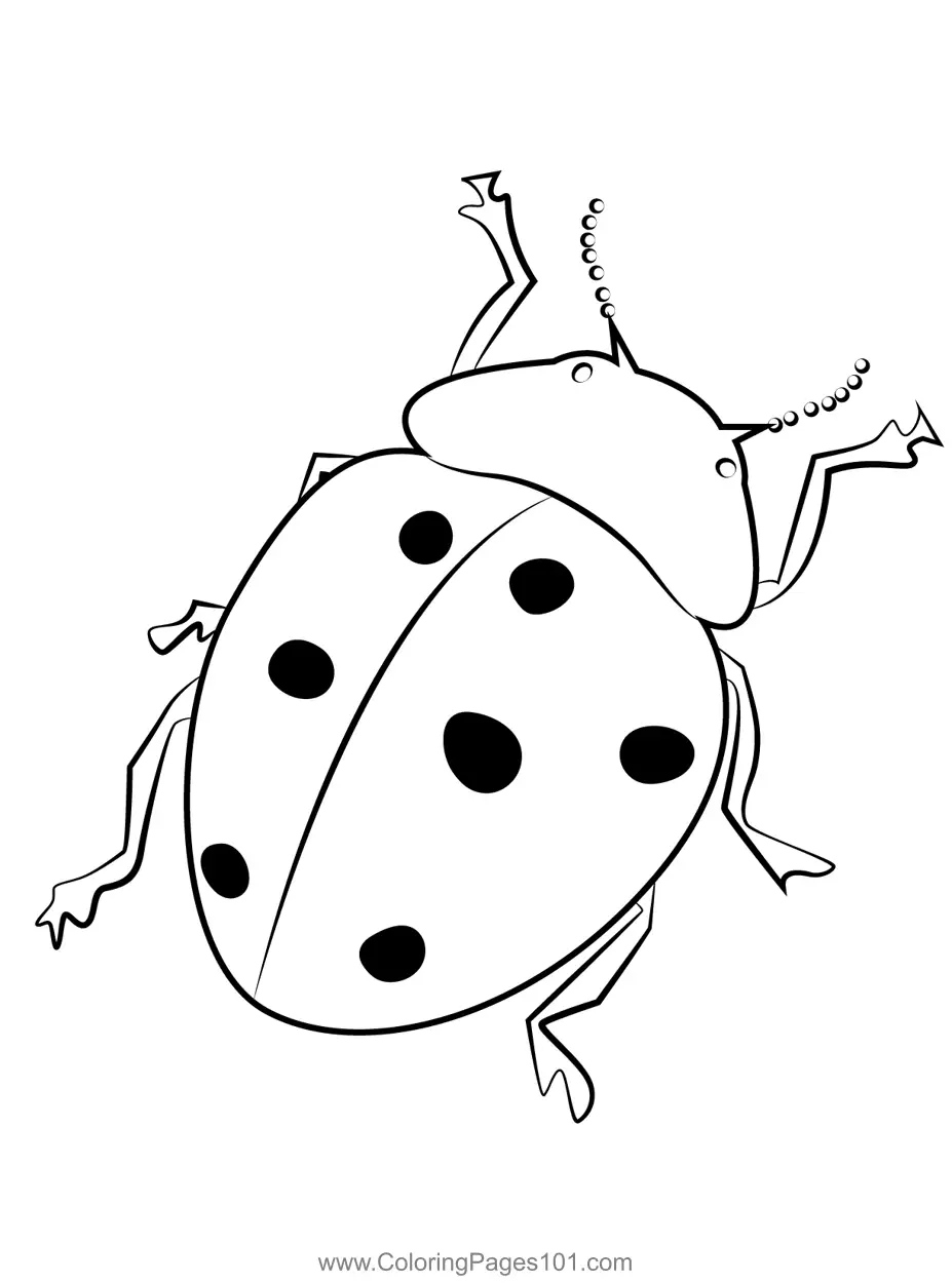 Beetles Coloring Pages 4