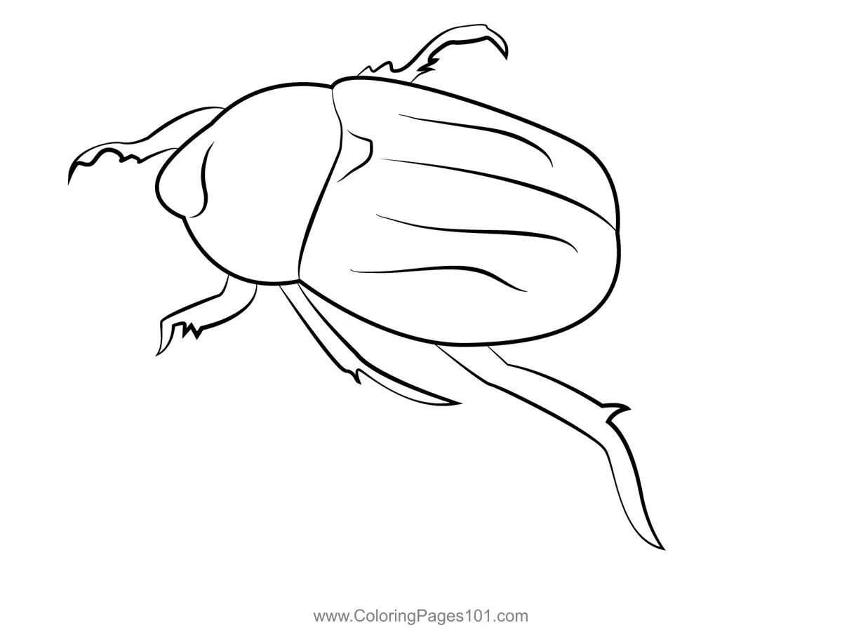 Beetles Coloring Pages 5