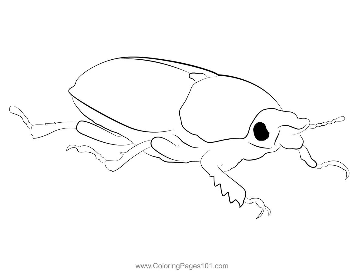 Beetles Coloring Pages 8