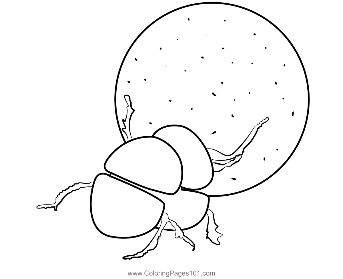Beetles Coloring Pages 9