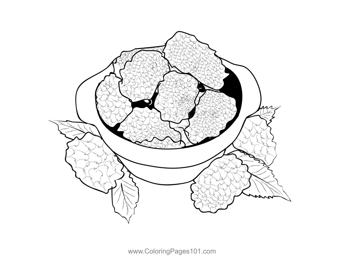 Blackberry Coloring Pages 6
