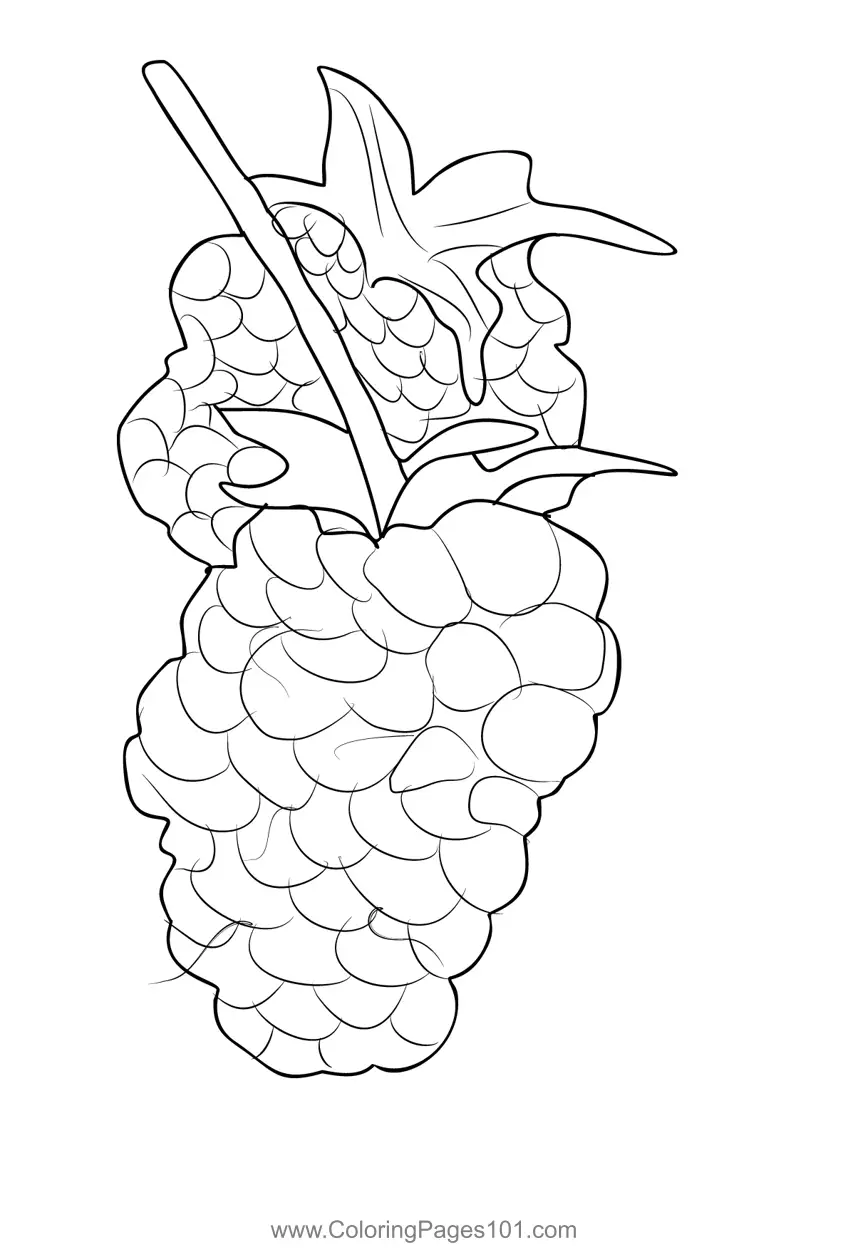 Blackberry Coloring Pages 7