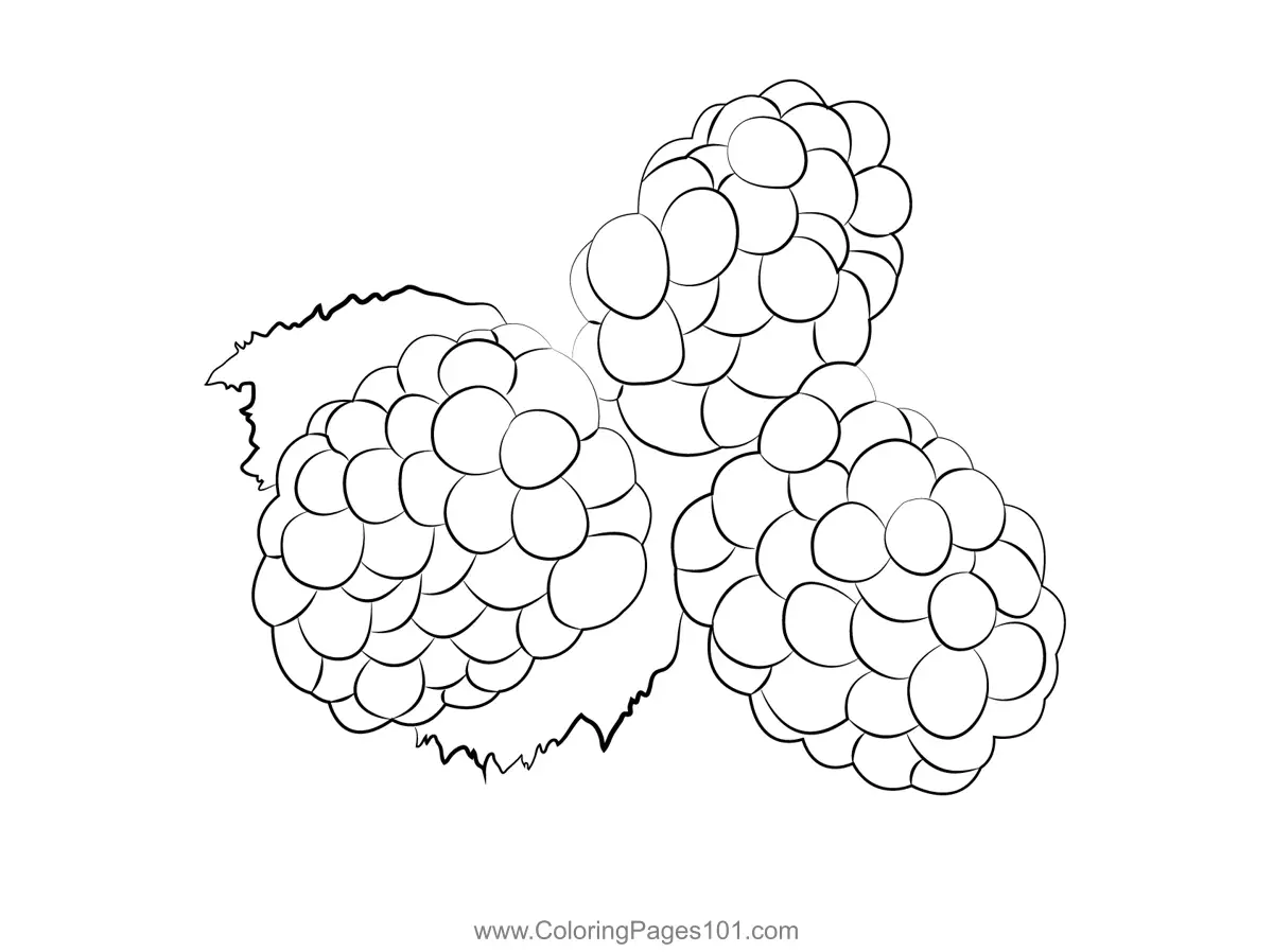 Blackberry Coloring Pages 9