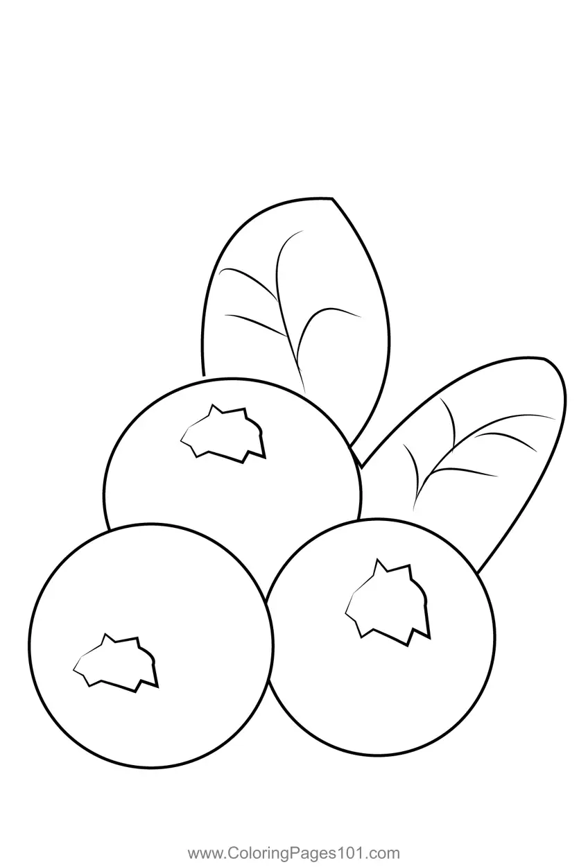 Blueberry Coloring Pages 8