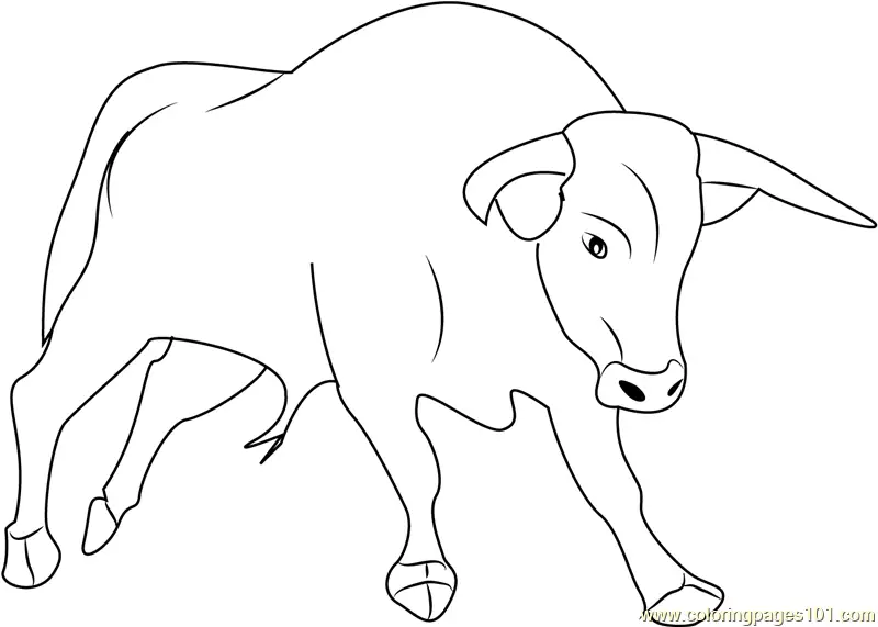 Bull Coloring Pages 1