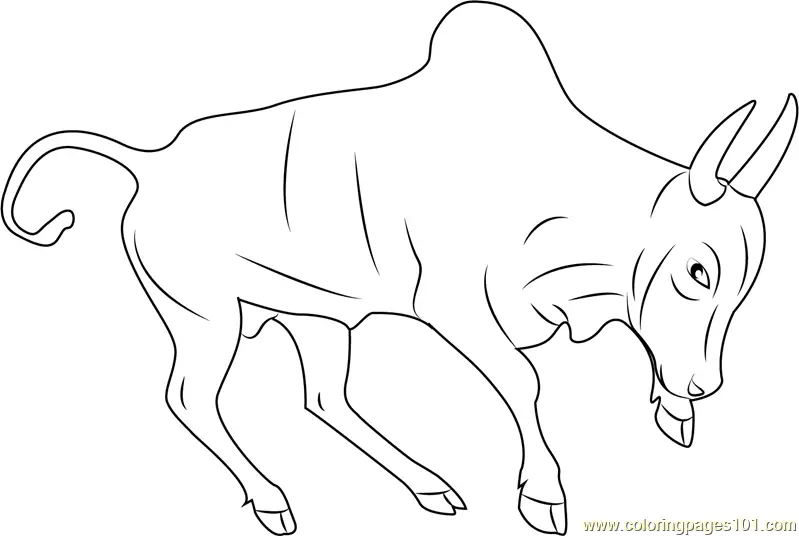 Bull Coloring Pages 7