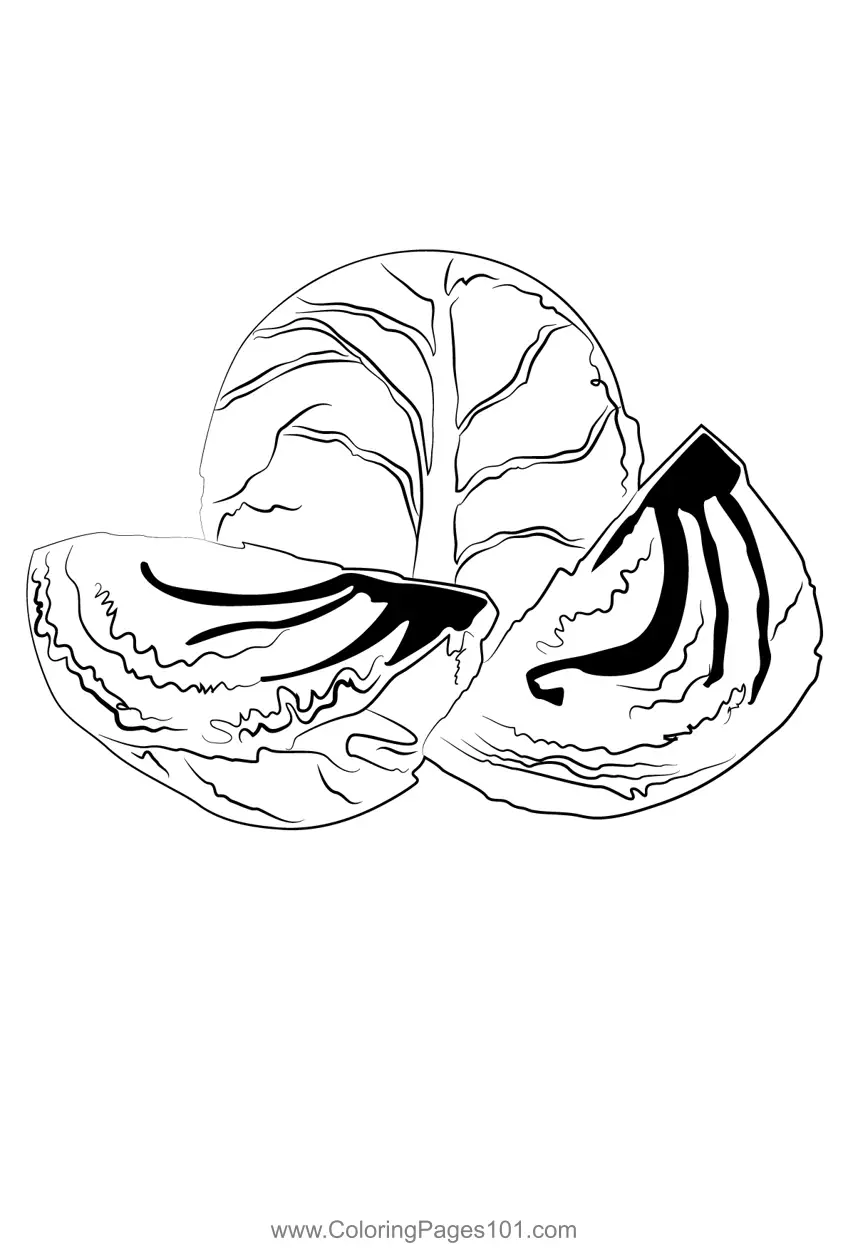 Cabbage Coloring Pages 3