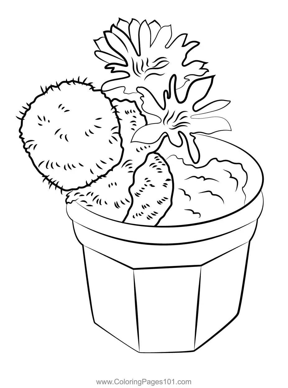 Cactus Coloring Pages