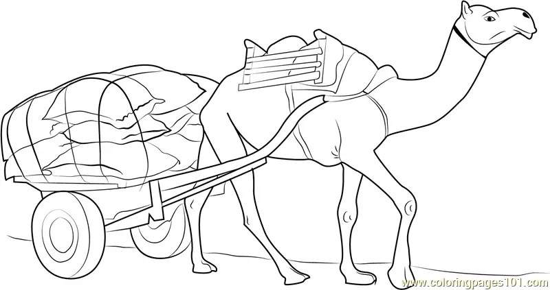 Camel Coloring Pages 1