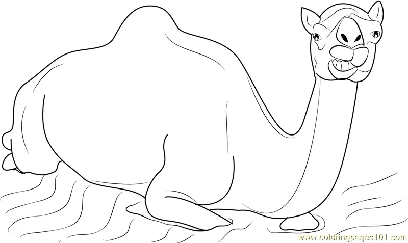 Camel Coloring Pages 4