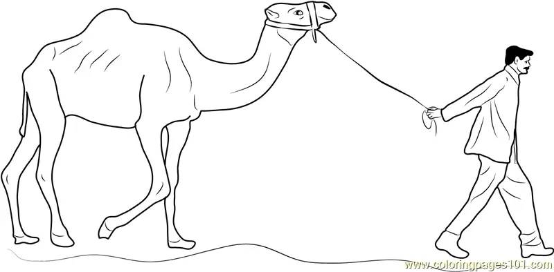 Camel Coloring Pages 7