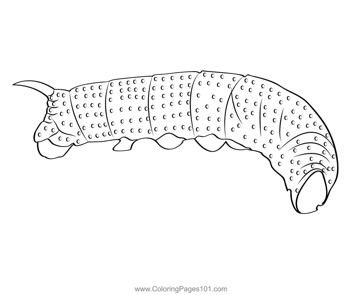 Caterpillars Coloring Pages 10