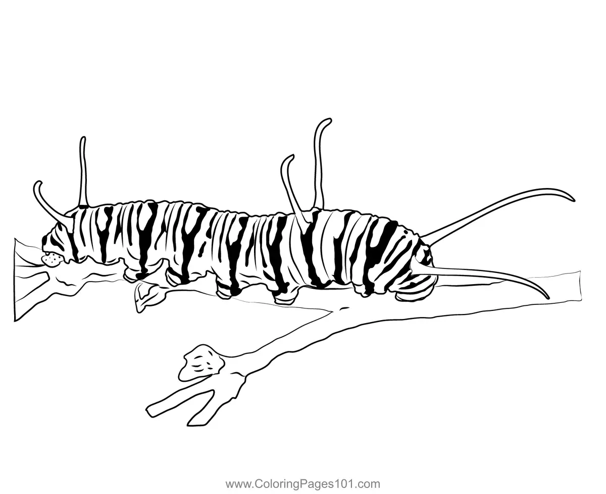 Caterpillars Coloring Pages 6