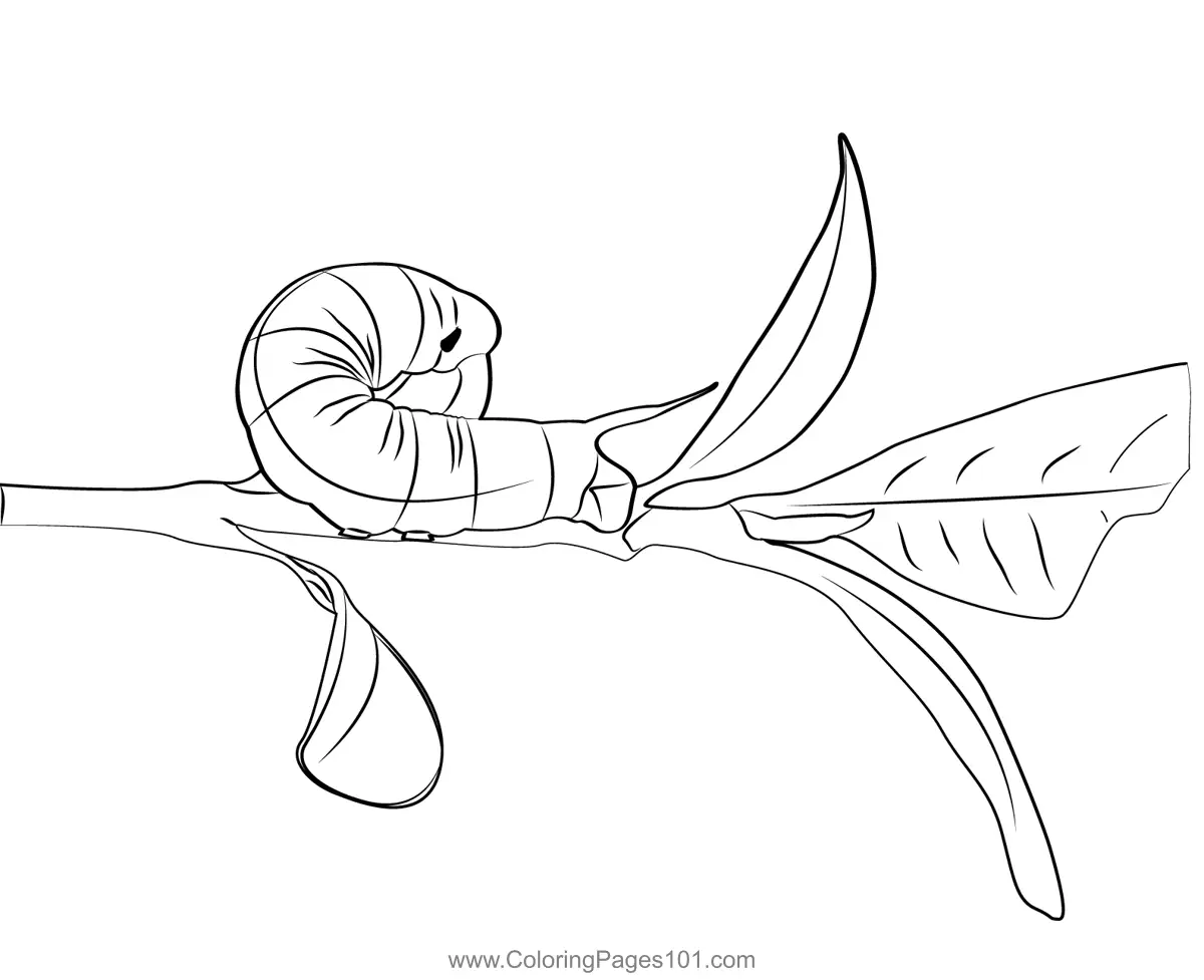Caterpillars Coloring Pages 7
