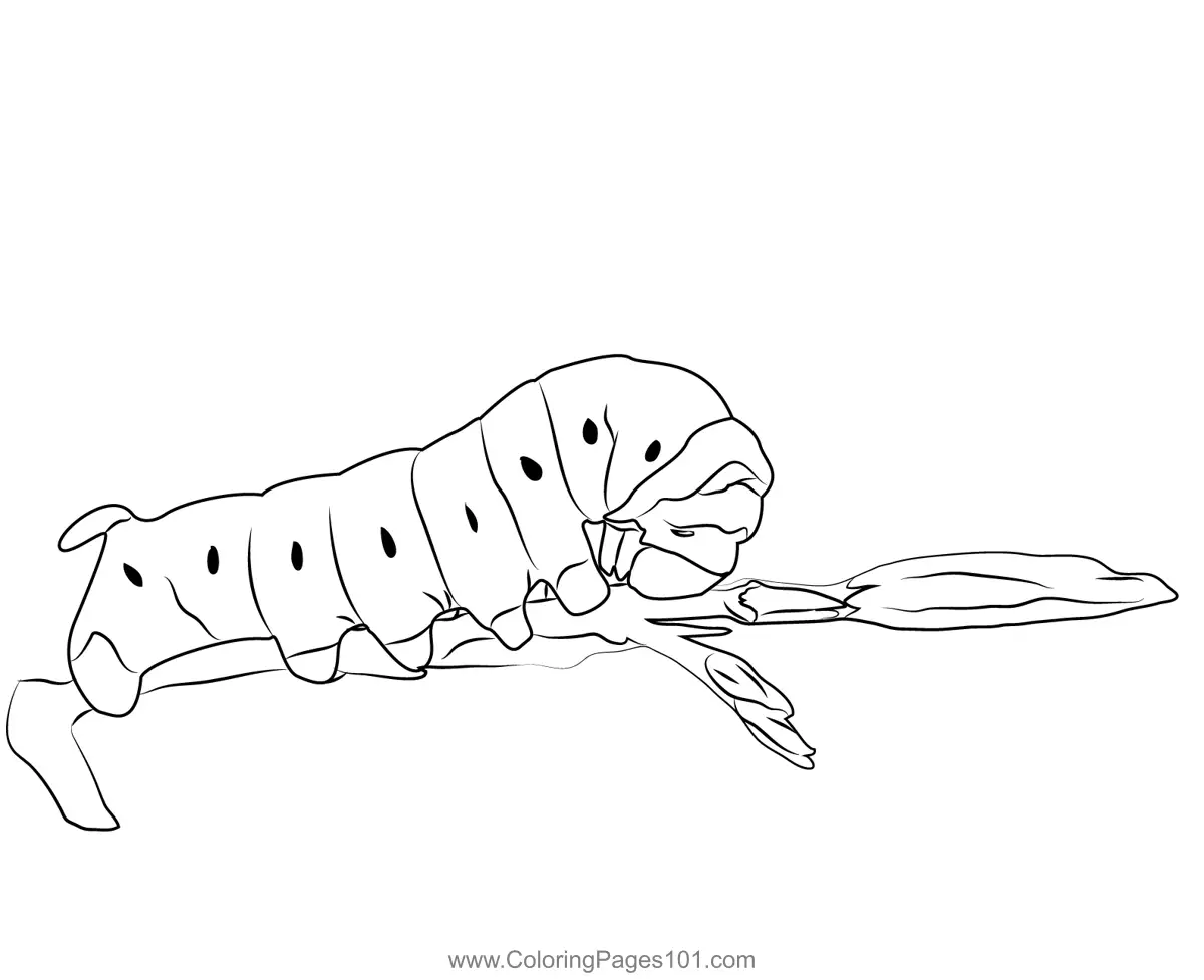 Caterpillars Coloring Pages 8