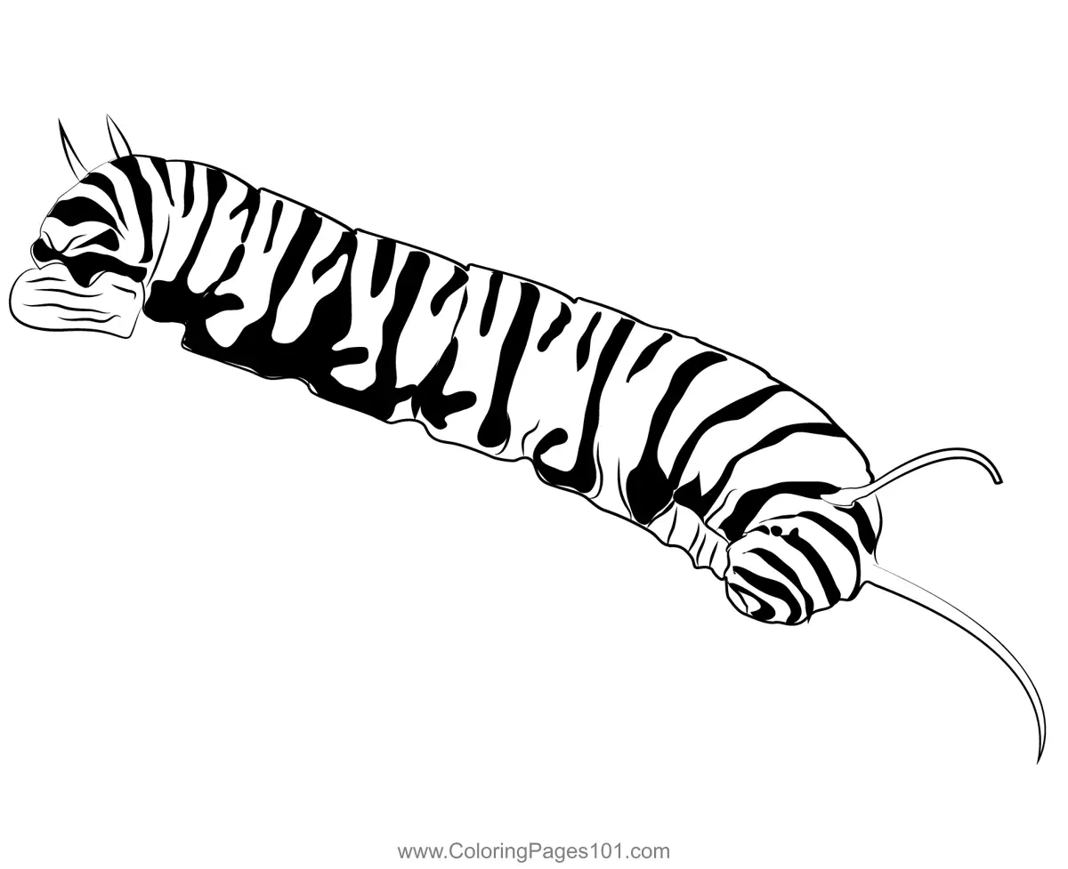 Caterpillars Coloring Pages 9