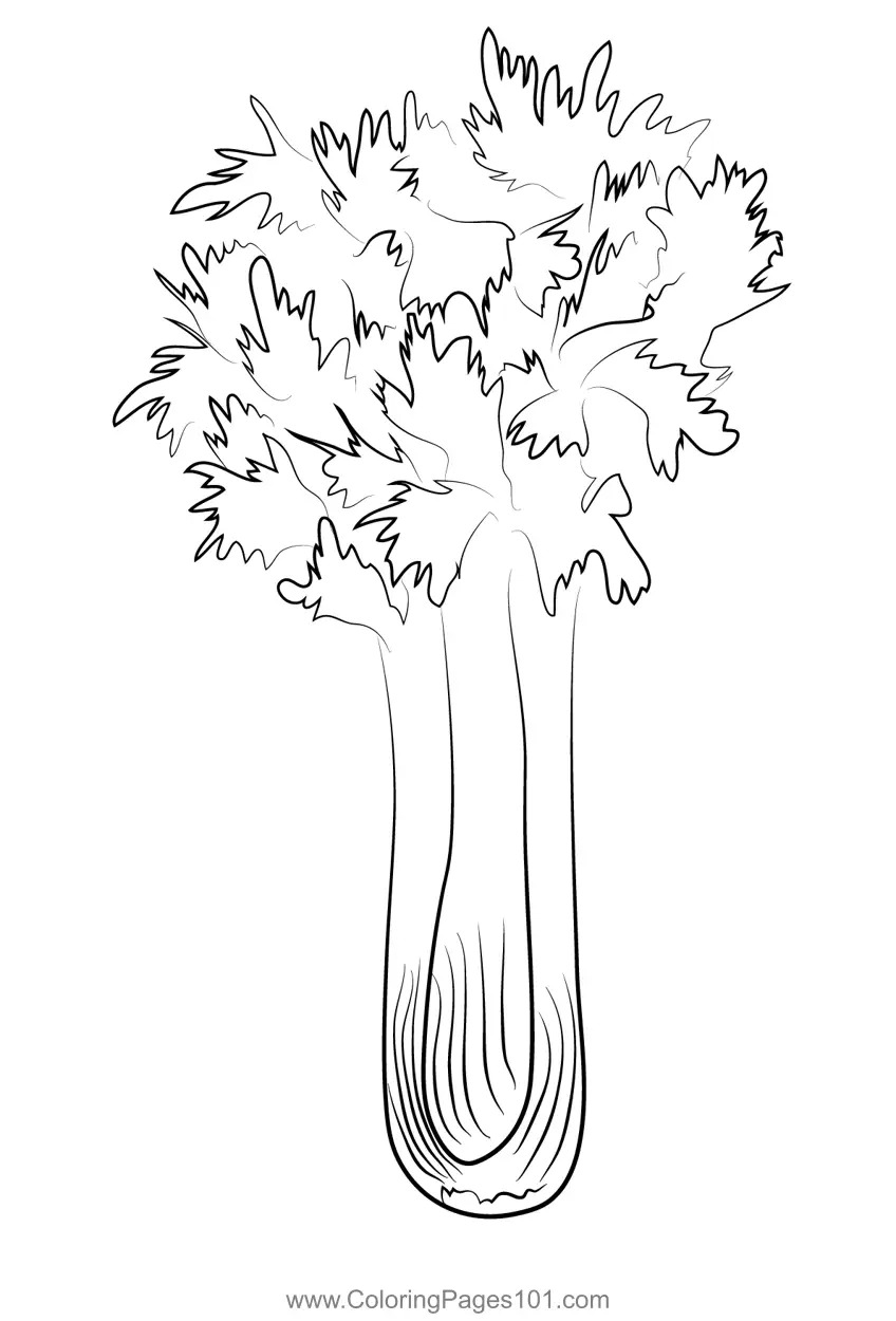 Celery Coloring Pages 2