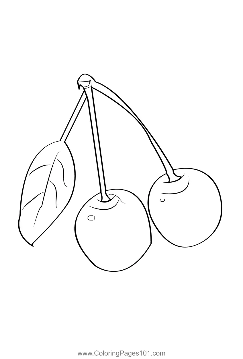 Cherry Coloring Pages 10