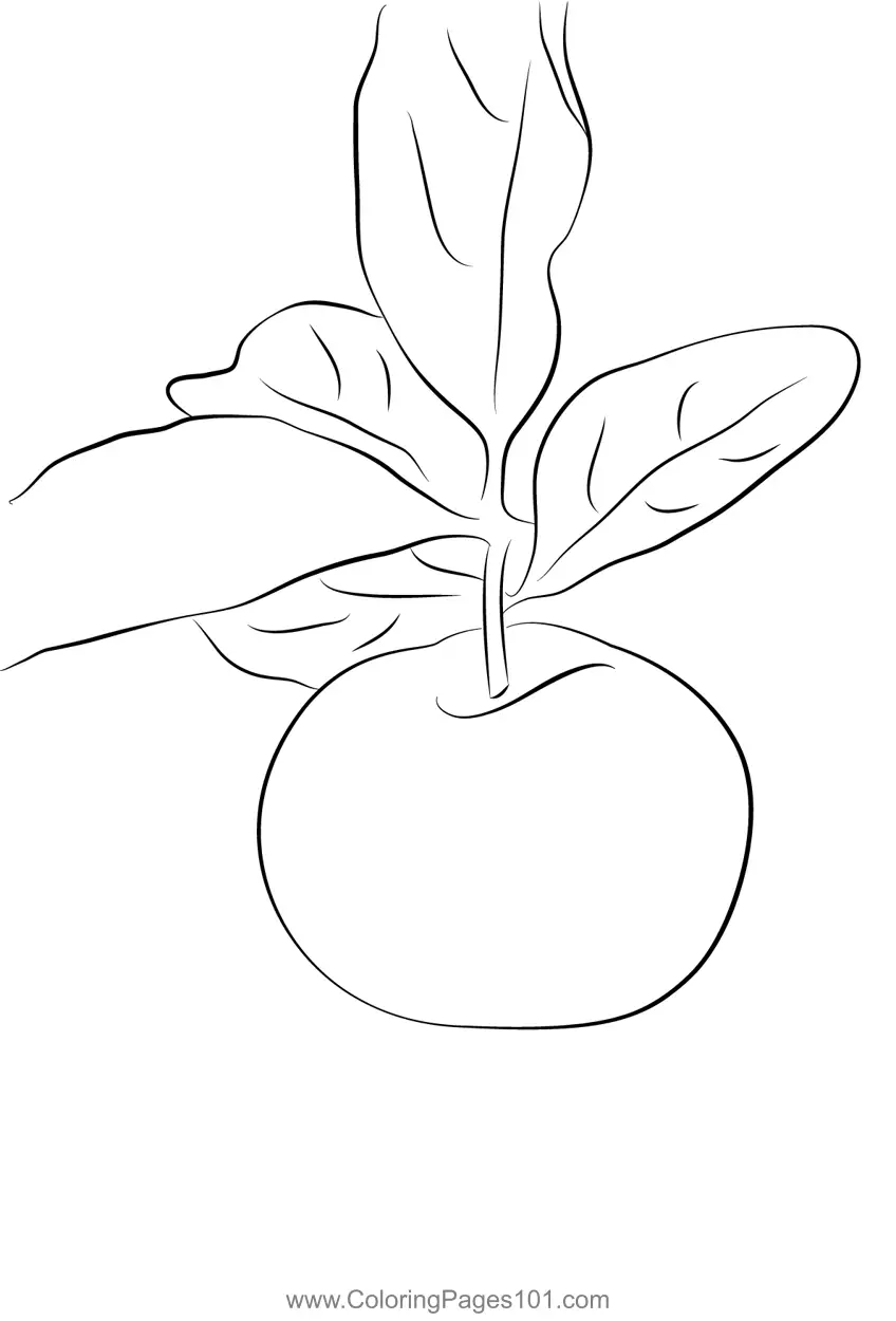 Cherry Coloring Pages 8