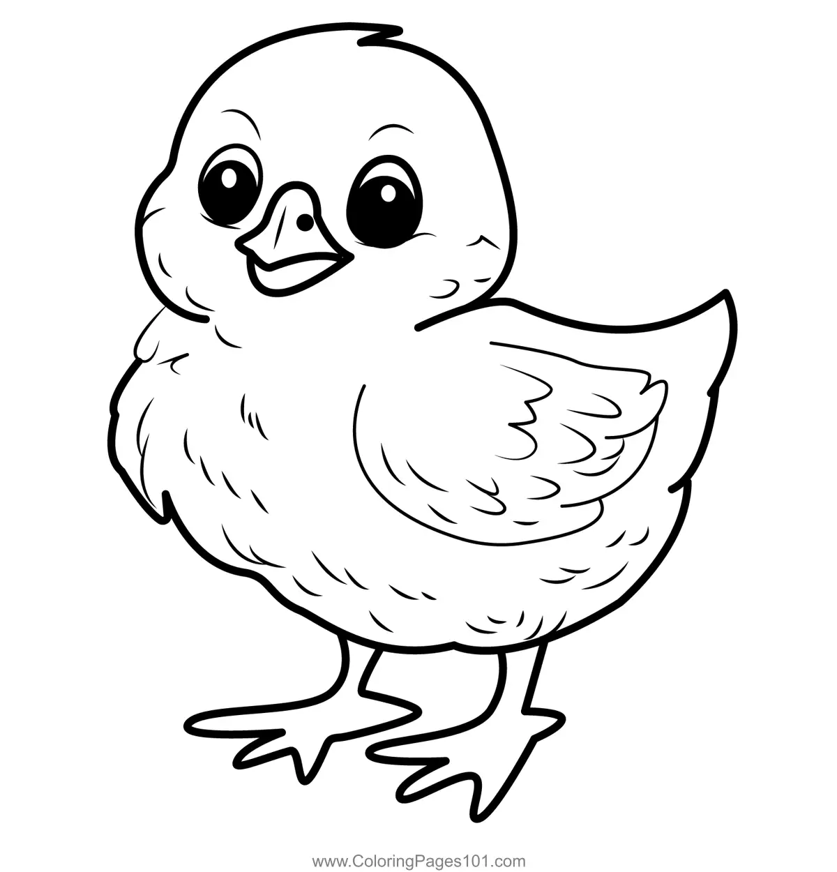 Chickens Coloring Pages 5