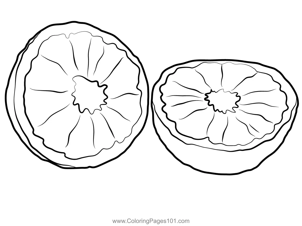 Citrus Coloring Pages 2