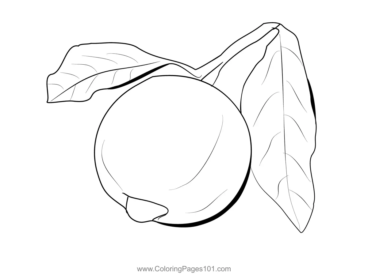 Citrus Coloring Pages 5