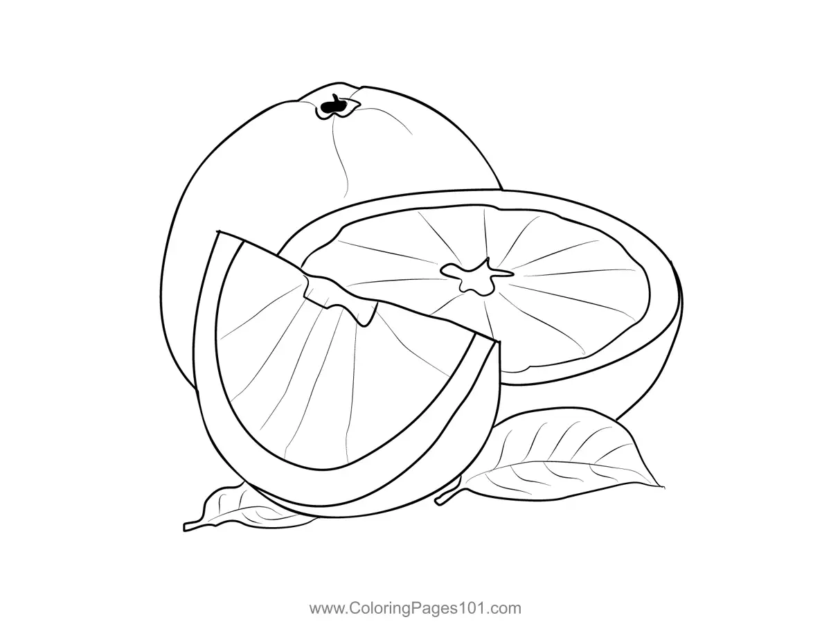 Citrus Coloring Pages 6