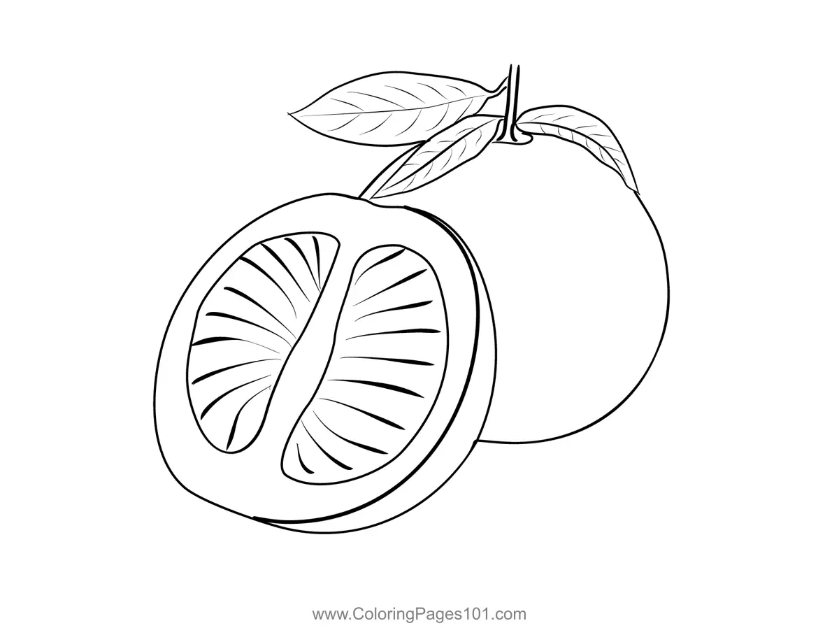 Citrus Coloring Pages 7