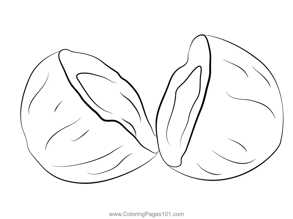 Coconut Coloring Pages 3