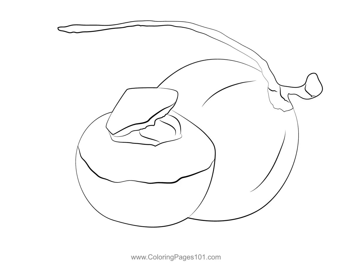 Coconut Coloring Pages 4