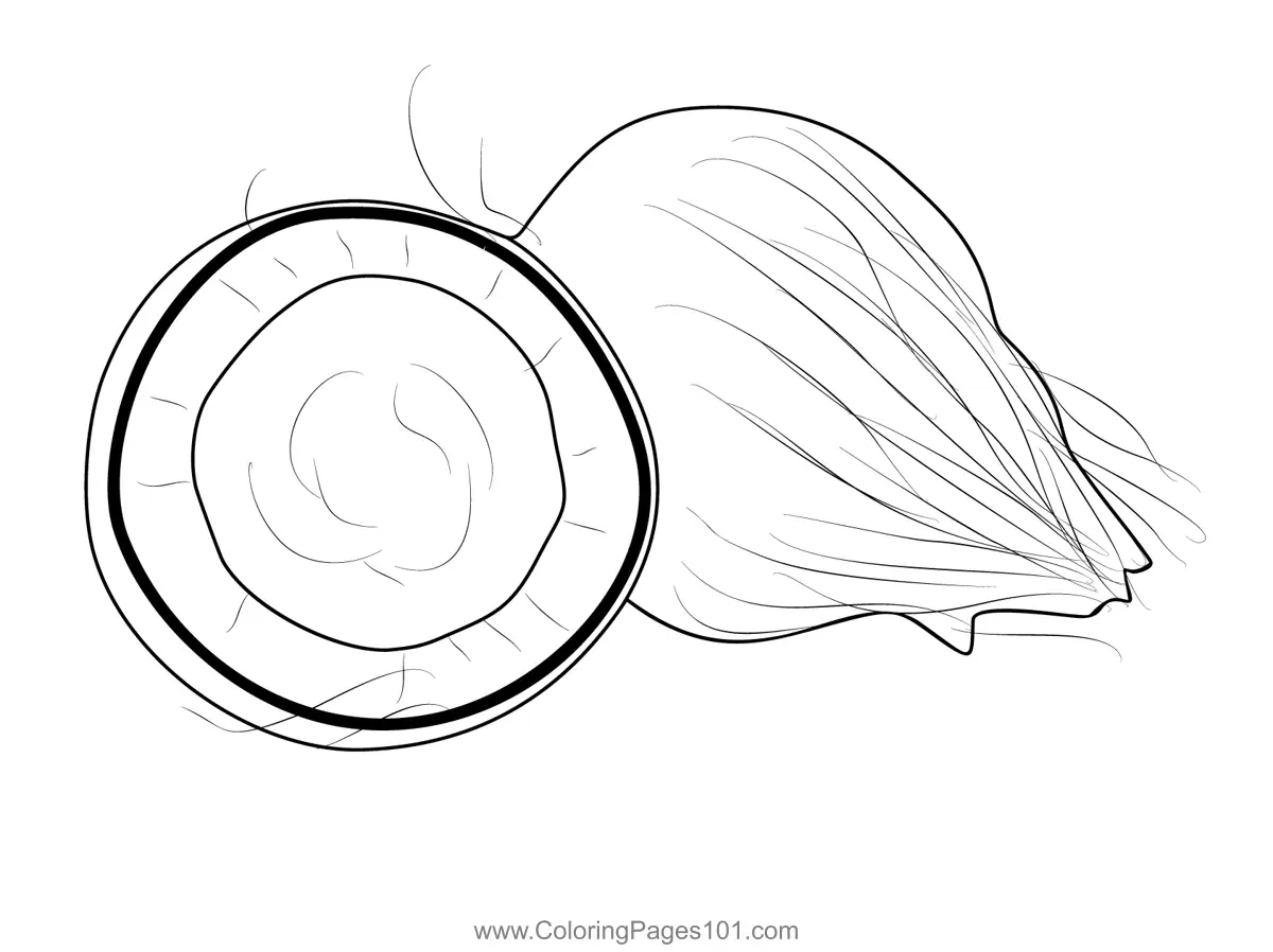 Coconut Coloring Pages 5